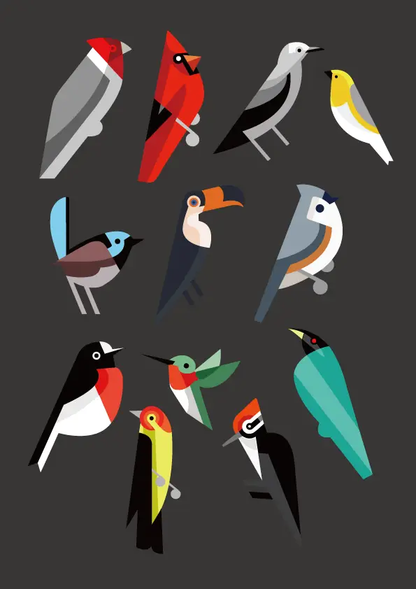 bird graphic vector parrot woodpecker oriole