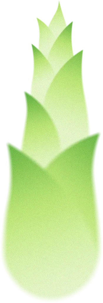 green bamboo shoots sprouts illustration