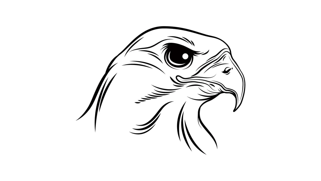 parrot bird head vector