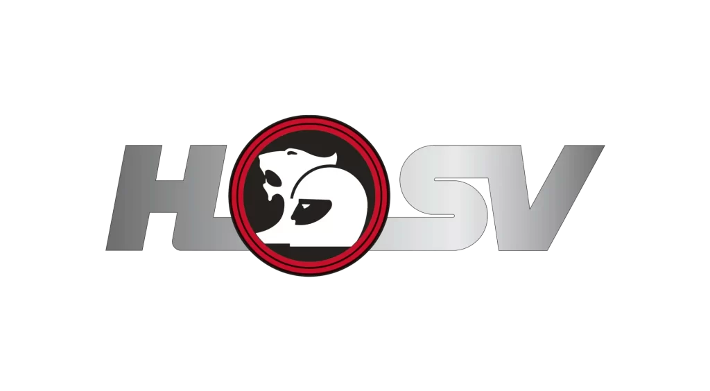 HSV logo