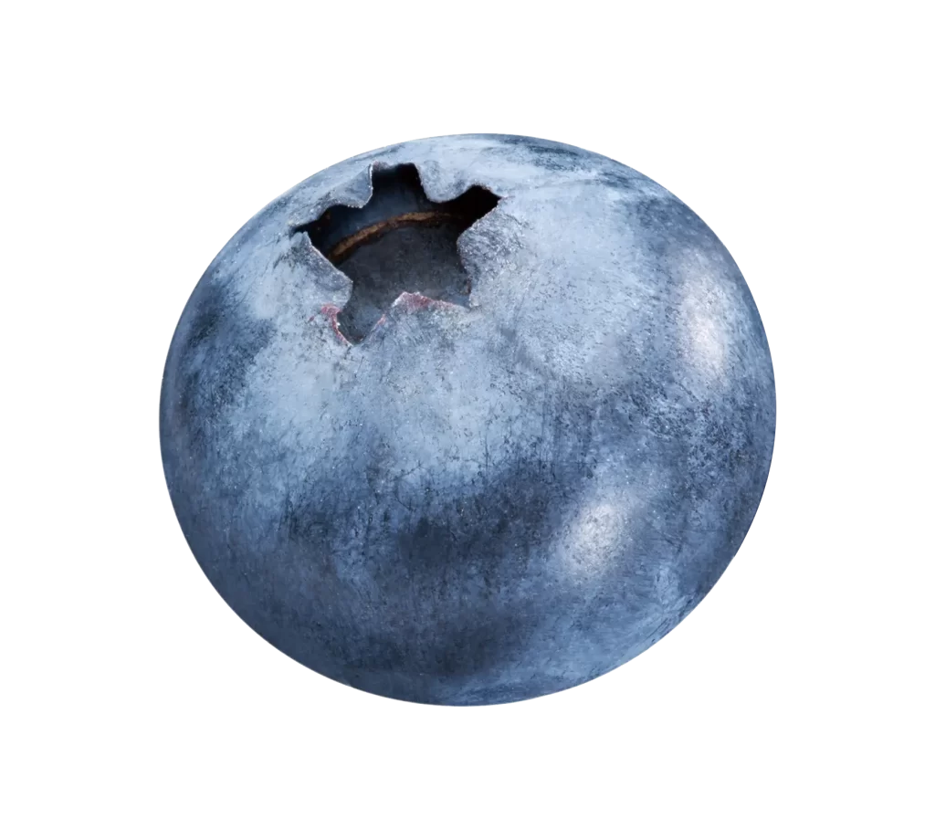blueberry HD
