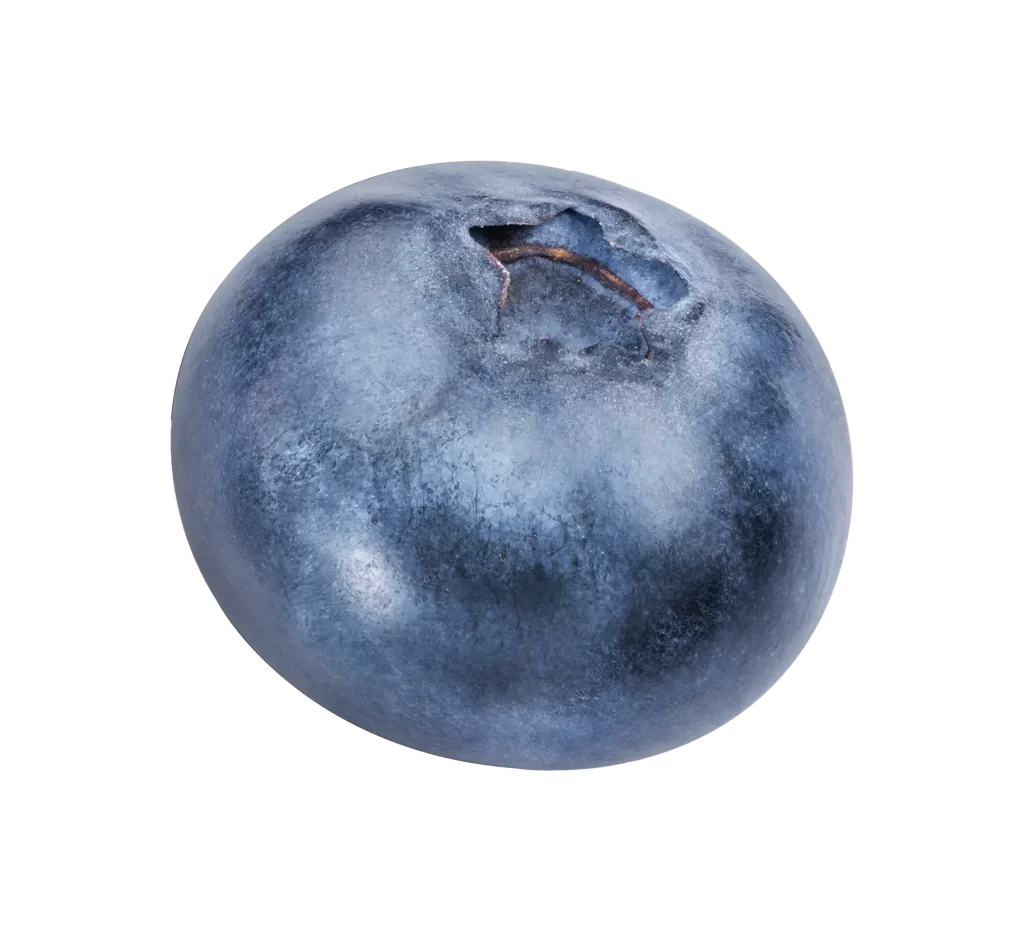 blueberry HD
