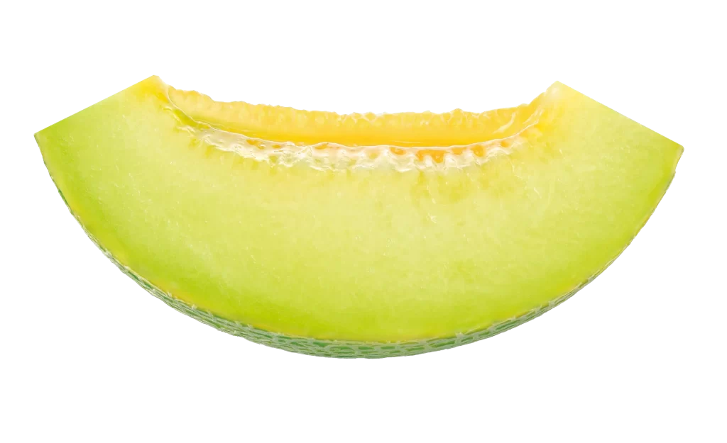 honeydew melon fruit cut