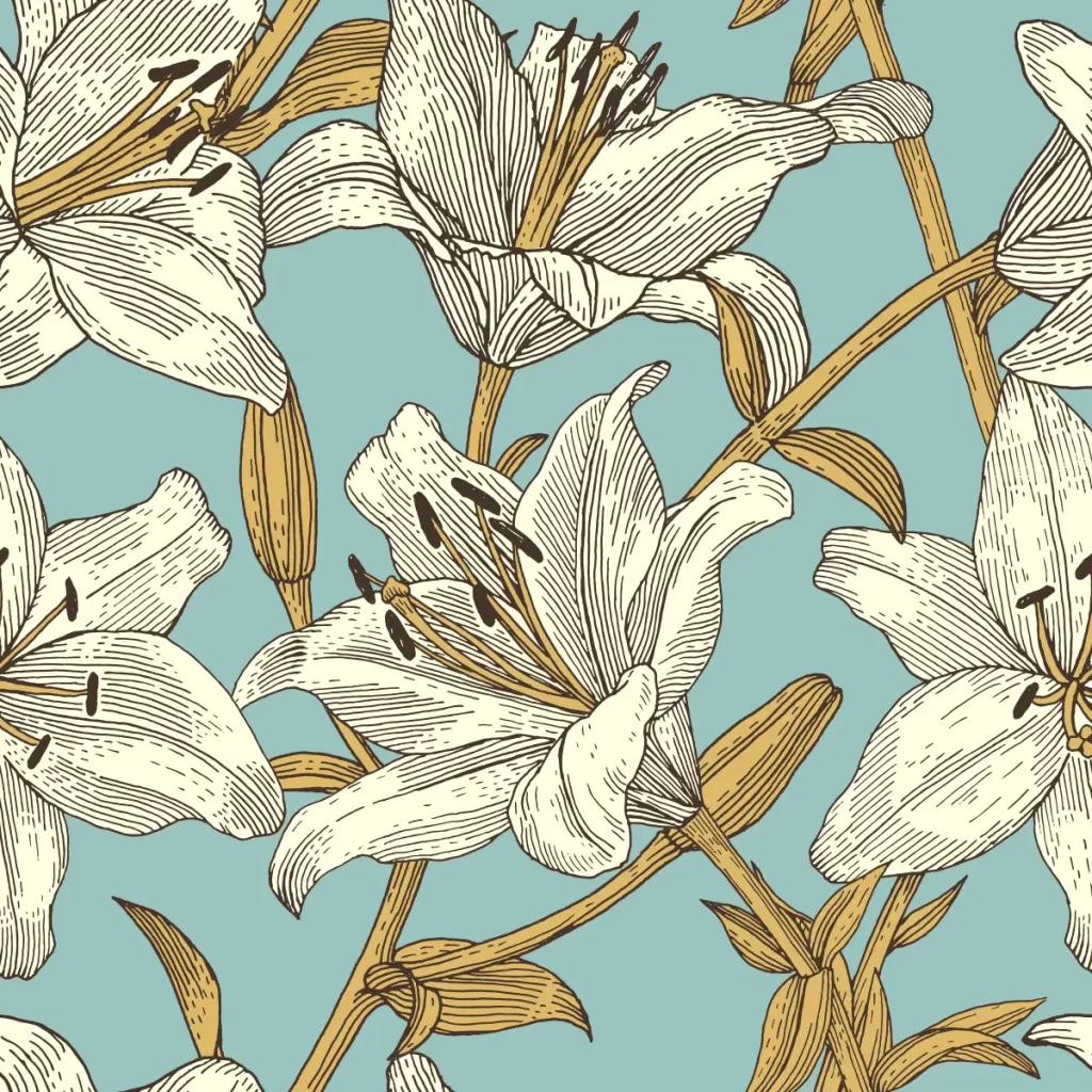 vector illustration lily pattern lines