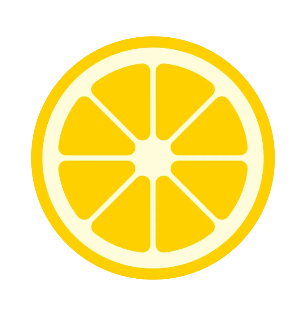 lemon orange icon cut cross section slice vector