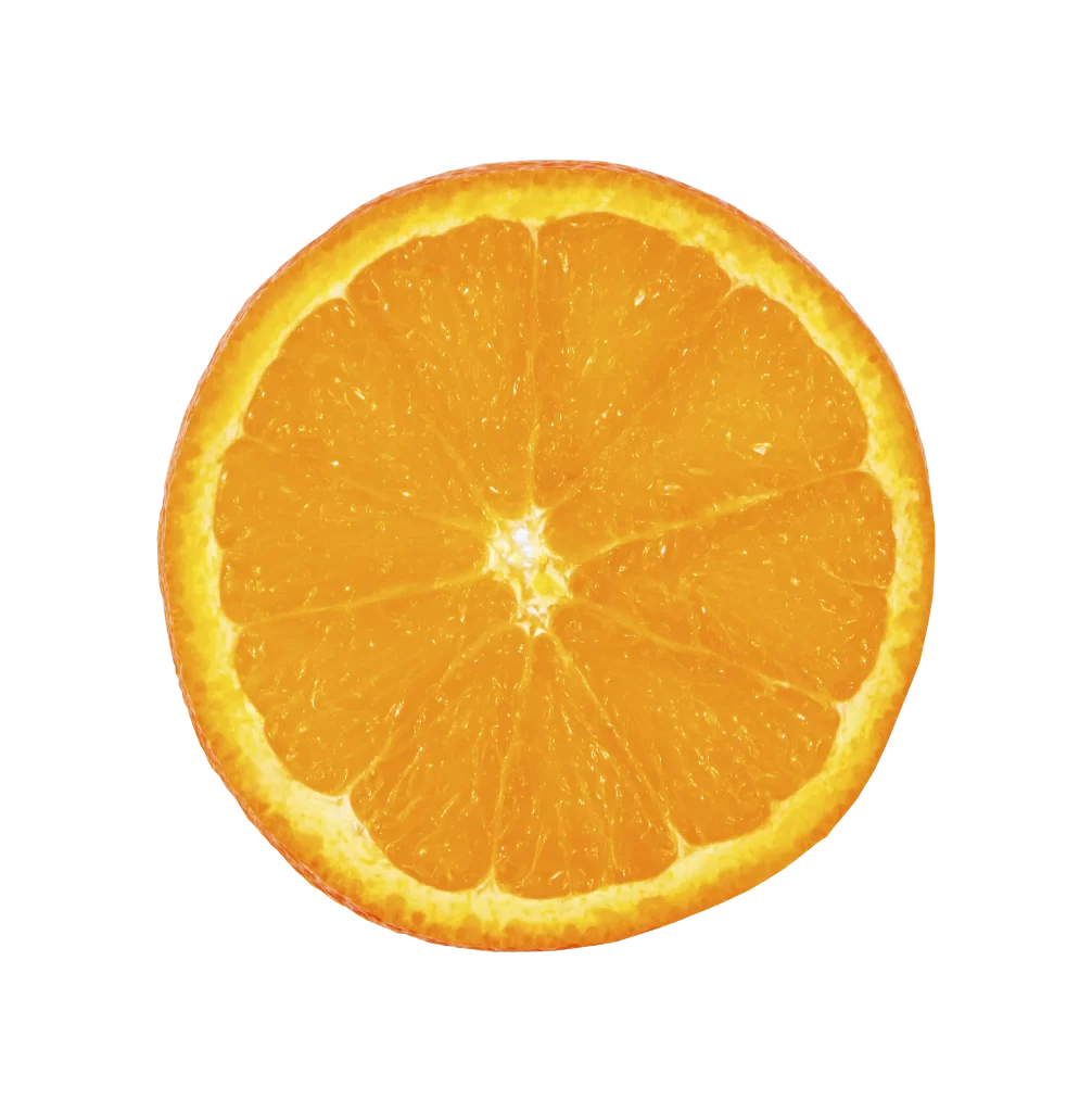 orange cut slice half