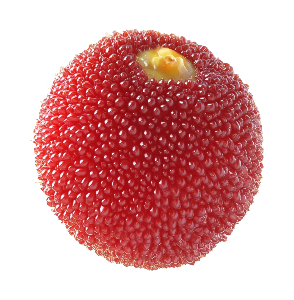 waxberry HD png