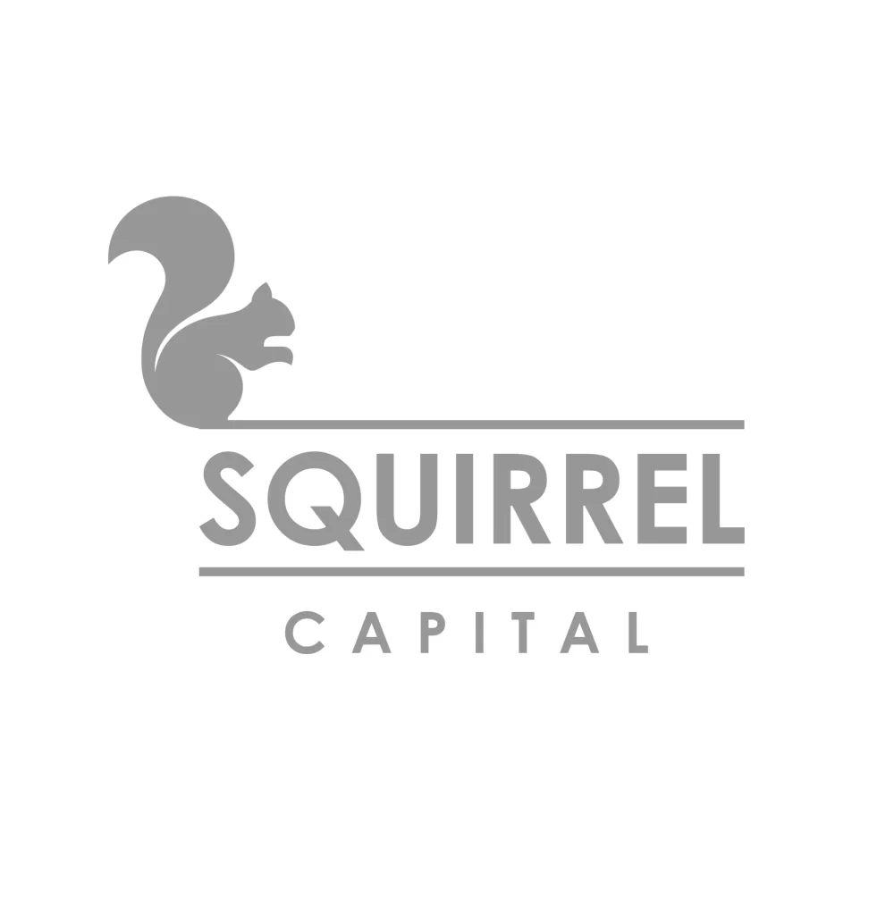 Squirrel capital logo vector