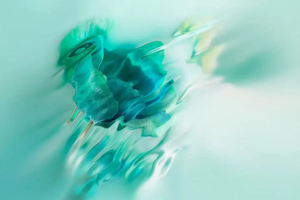 green rose flower background wallpaper