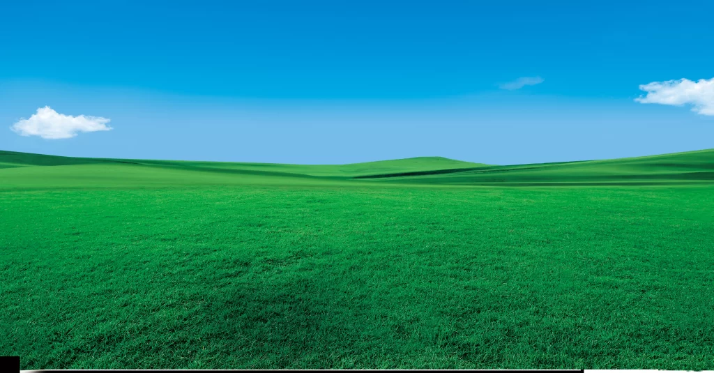 sky grassland pasture