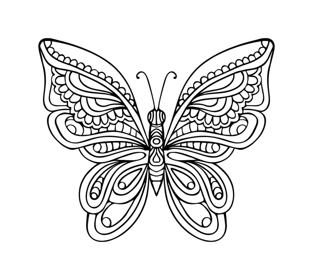butterfly lines vector illustration