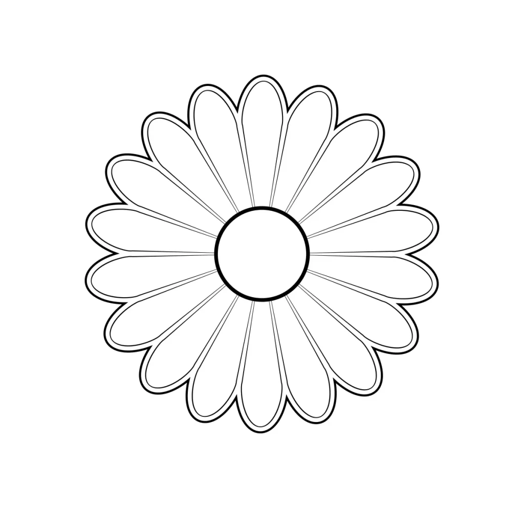 Chrysanthemum flower line vector illustration