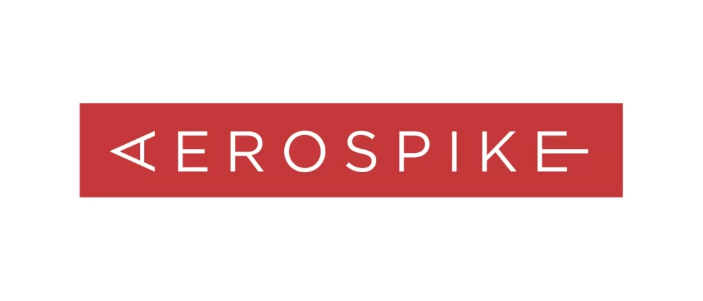 Aerospike vector logo