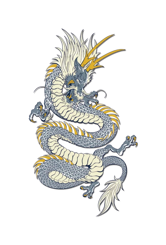 Japanese dragon loong illustration