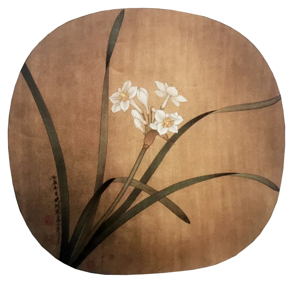 flower narcissus vector illustration
