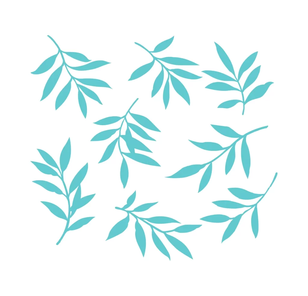 salix leaf leaves vector illustration