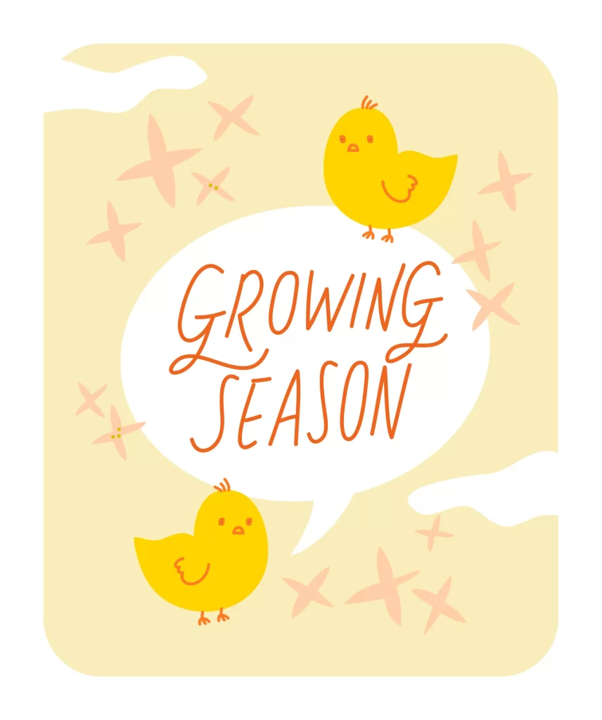 Chicken growing vector illustration