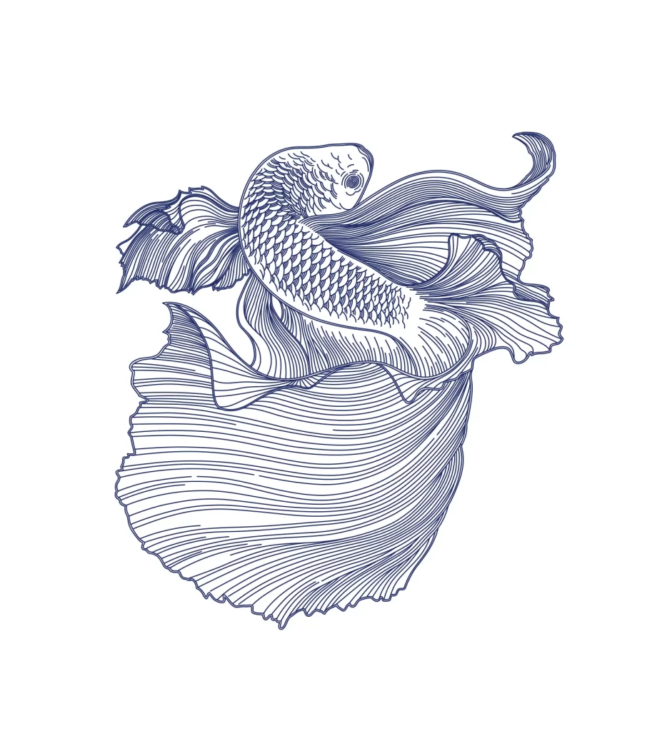 Golden Dragon Fish Arowana vector illustration