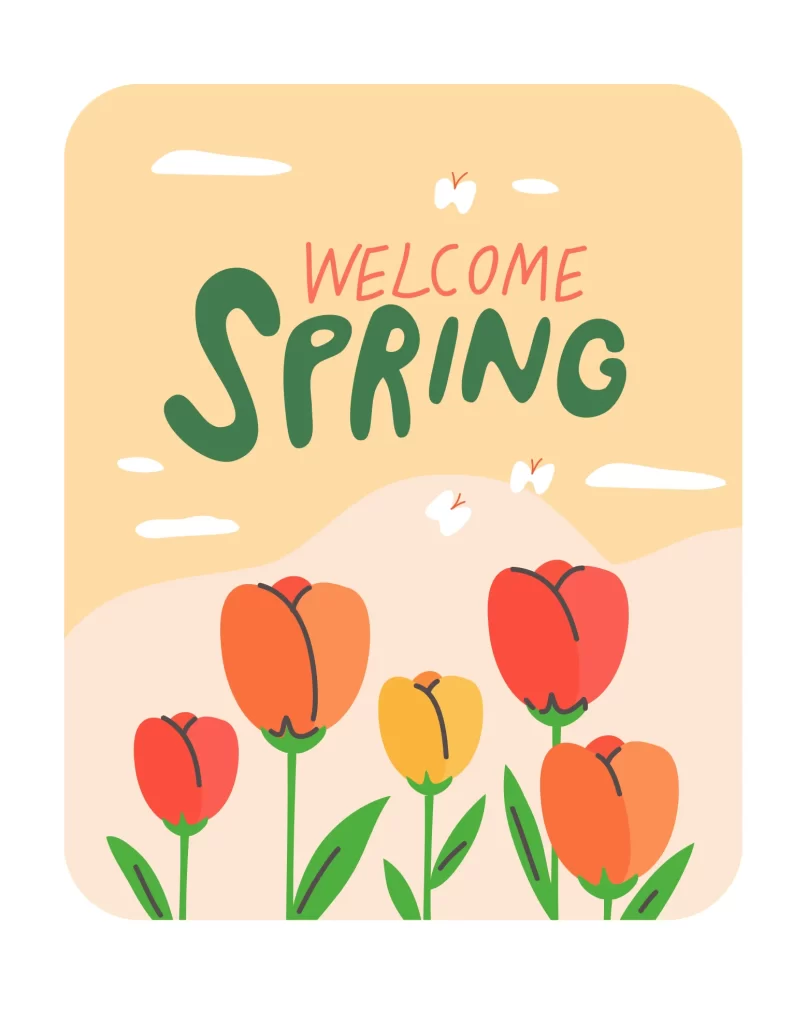 spring flower Tulip vector illustration