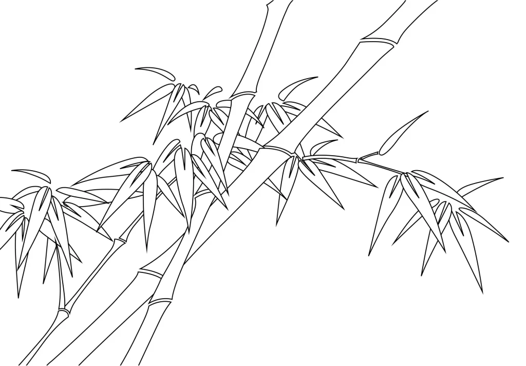 Bamboo vector illustration lines