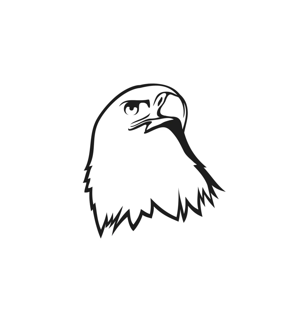 eagle head vector illustration