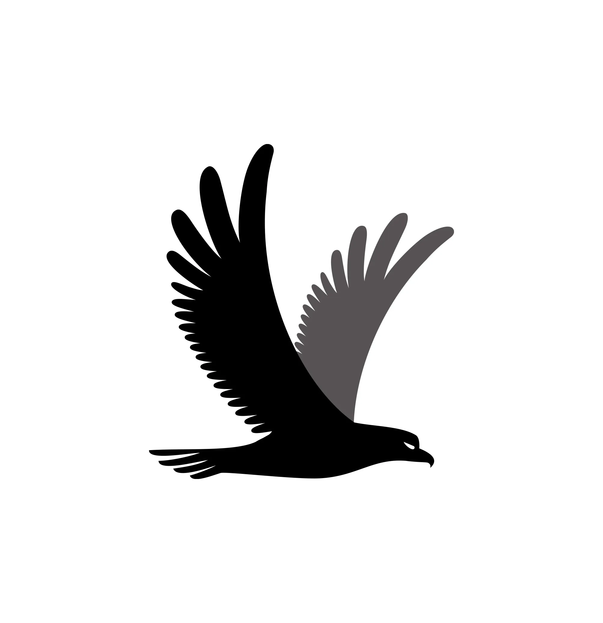 Eagle Silhouette Design black and white eagle vector logo