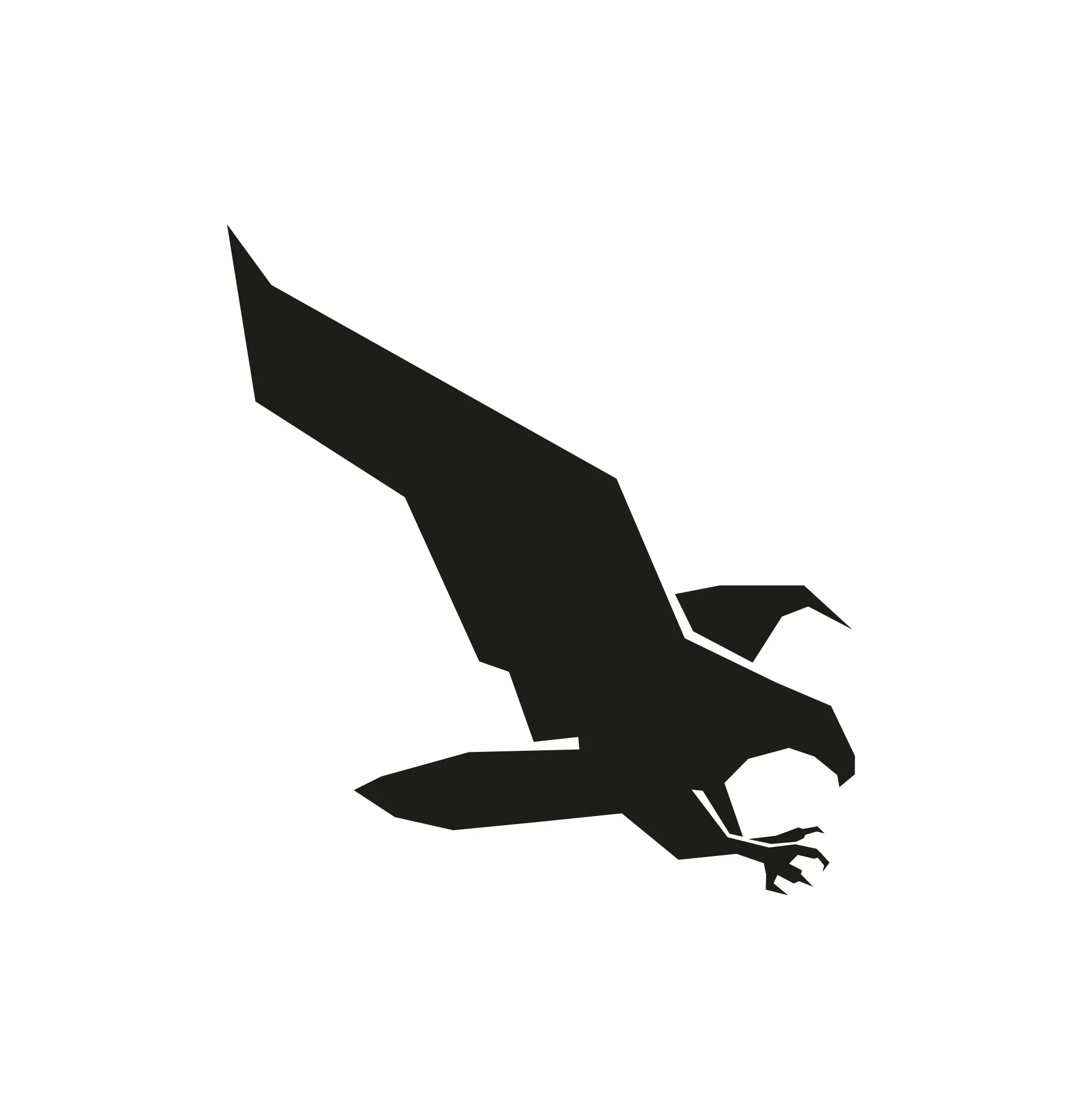 Geometric Eagle Silhouette Design black and white eagle vector logo
