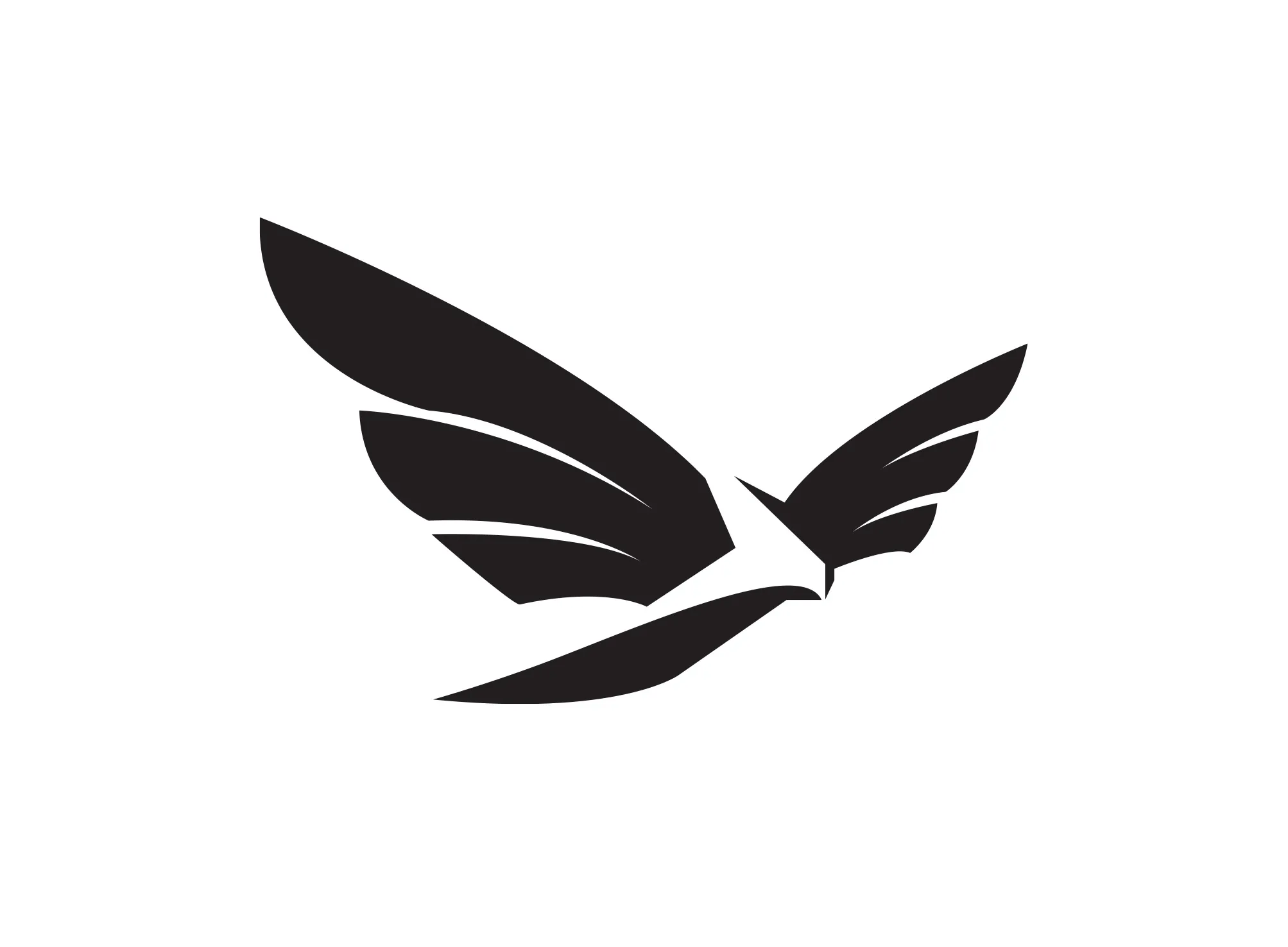 Eagle Flying Design black and white eagle vector logo