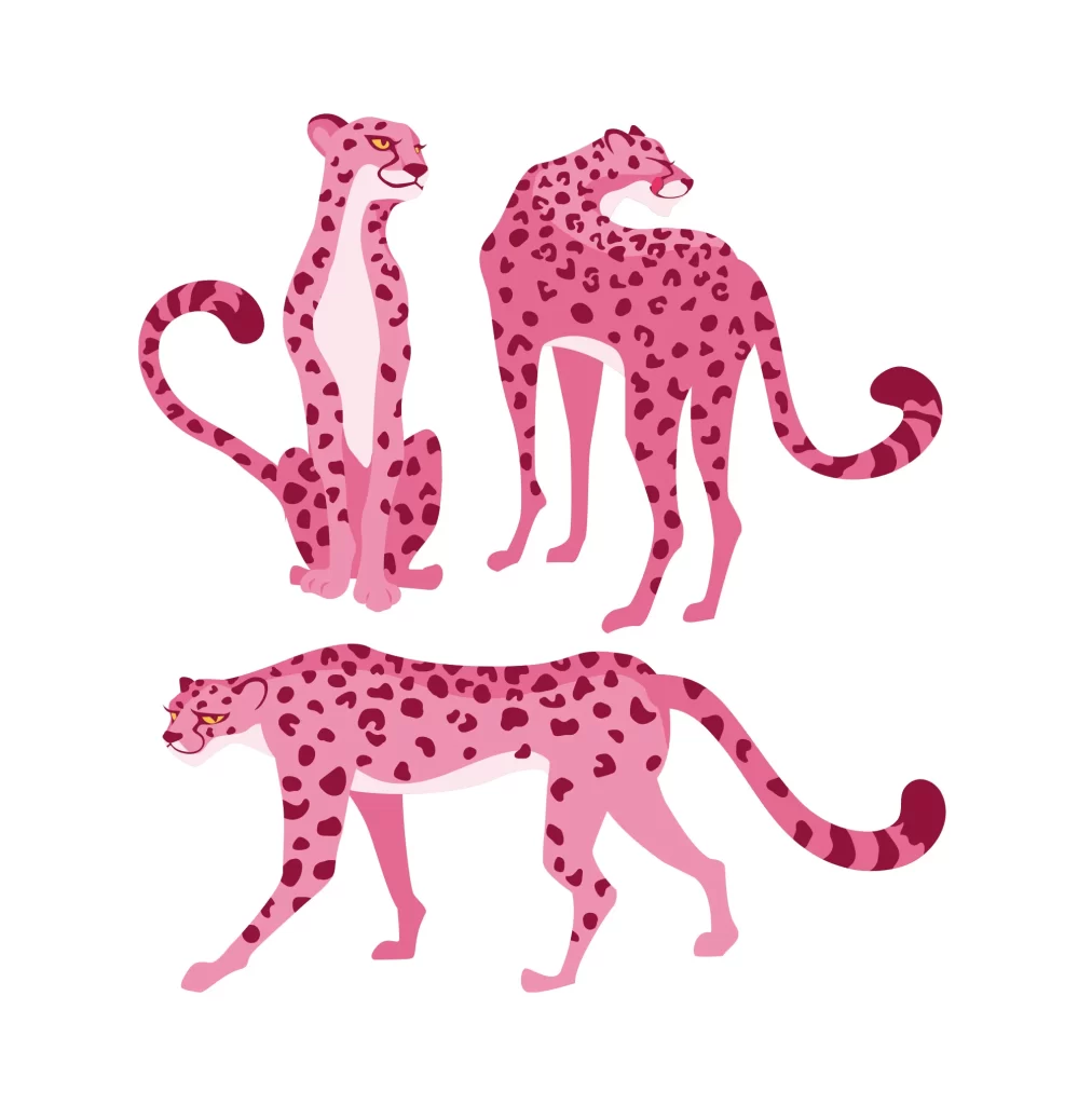 leopard cheetah pink vector illustration