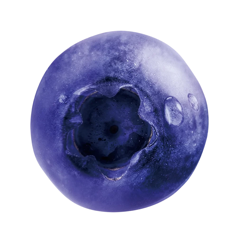 Blueberry droplet png water drop