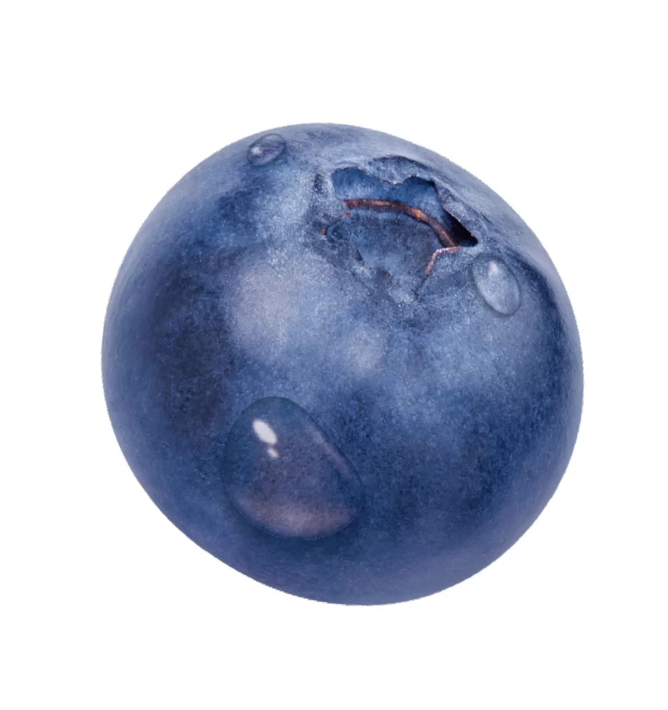 Blueberry droplet water drop png