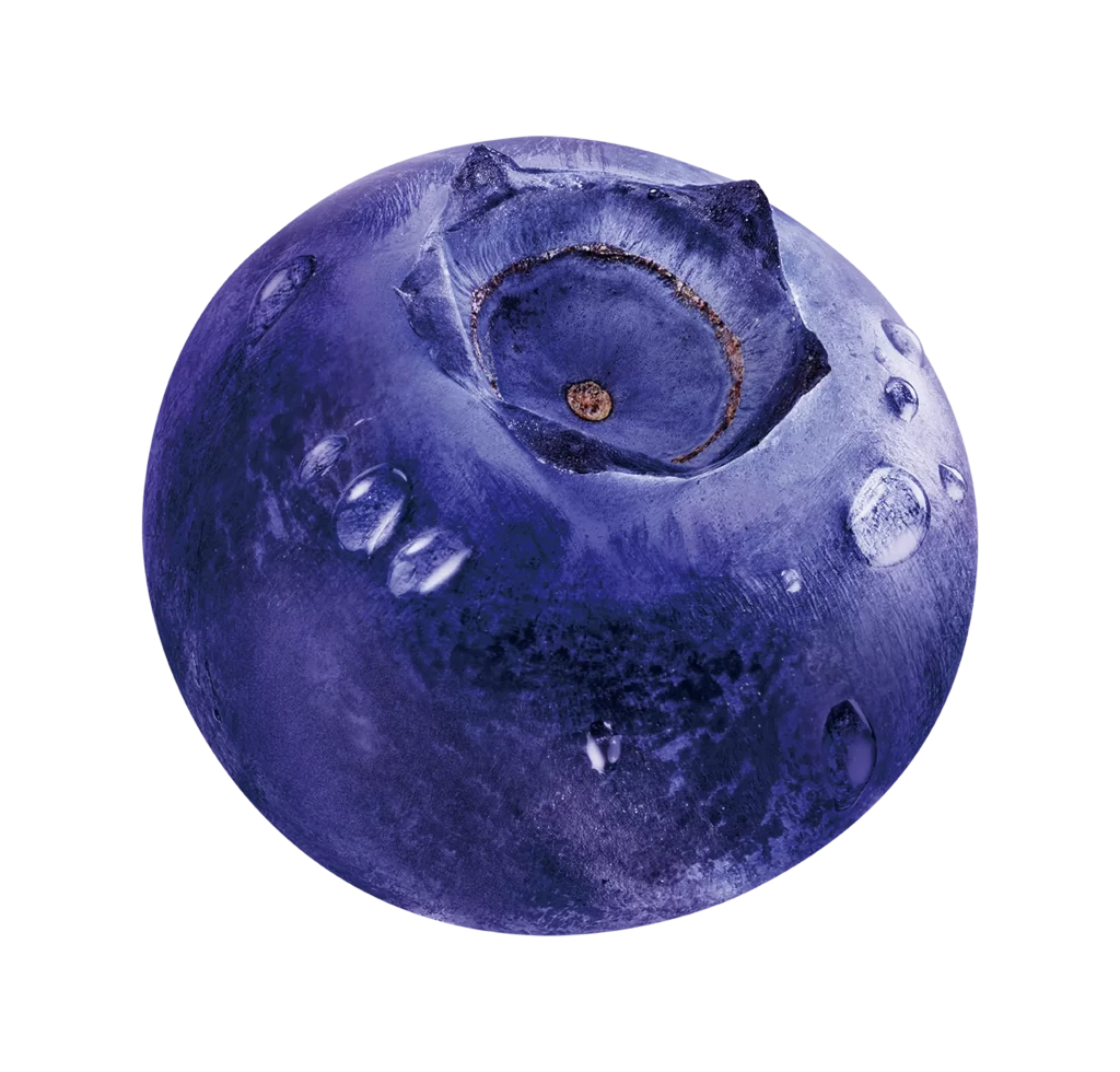 Blueberry water drop droplet