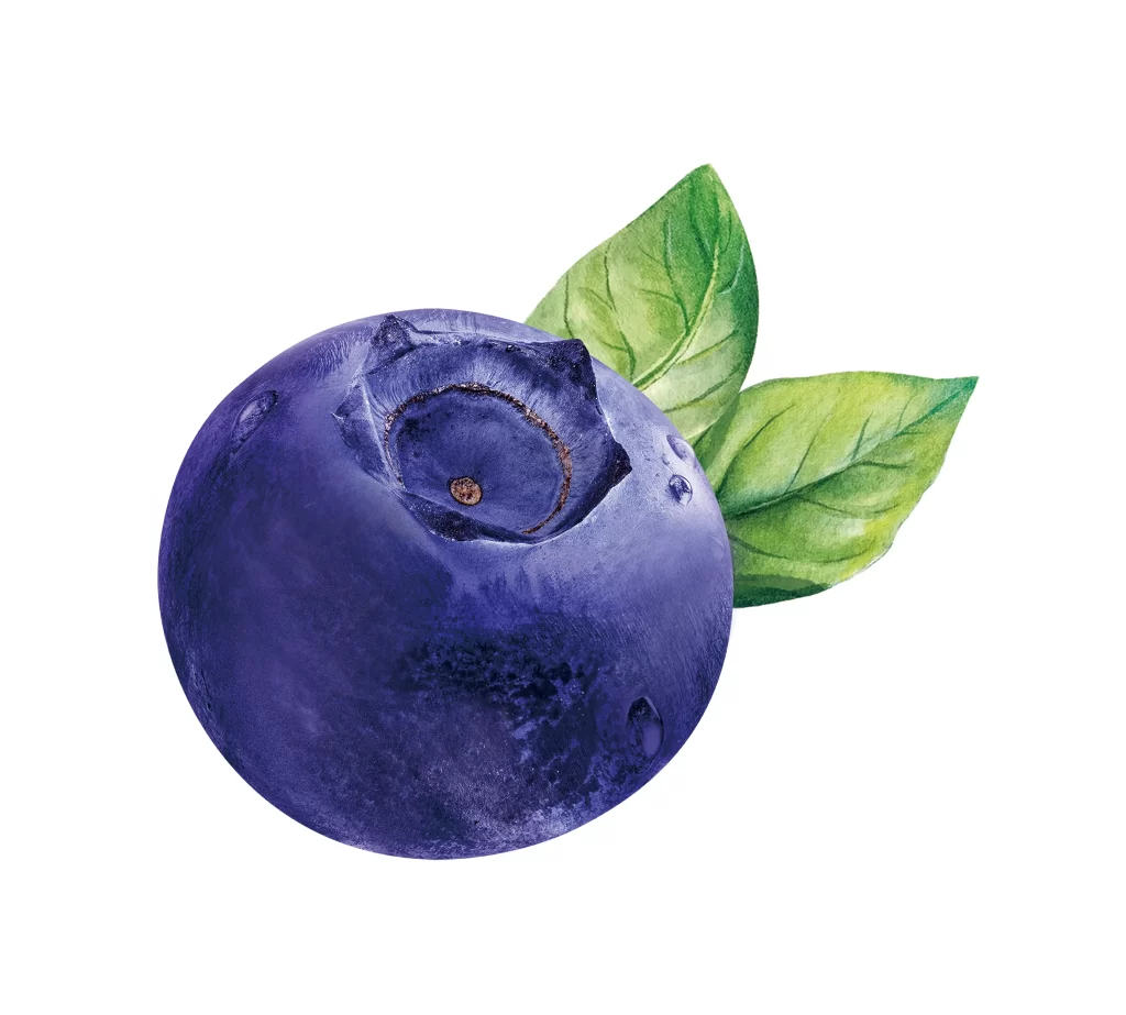 Blueberry water drop droplet png