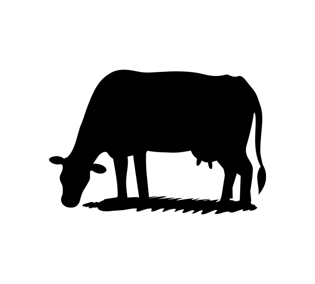 Silhouette cow grass vector illustration