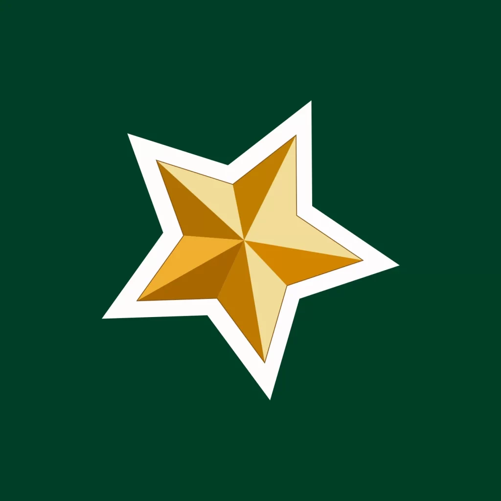 Christmas decoration star vector illustration