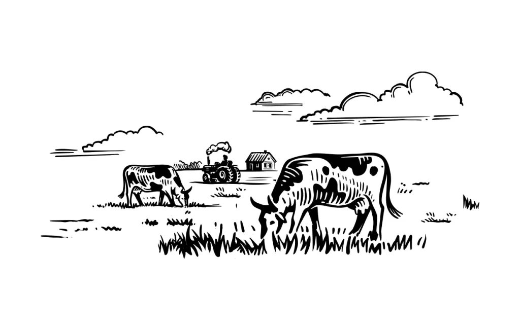 cow house village farm vector illustration