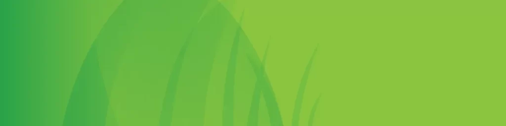 green background banner vector grass