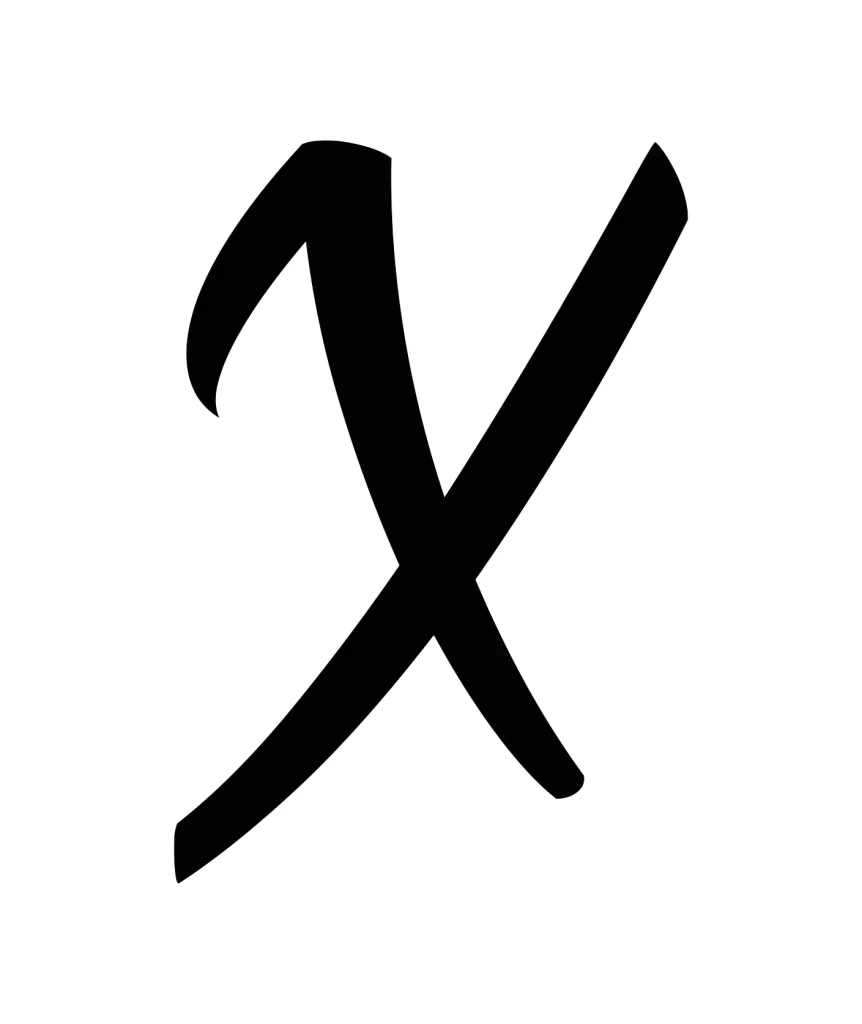 letter X vector logo typography