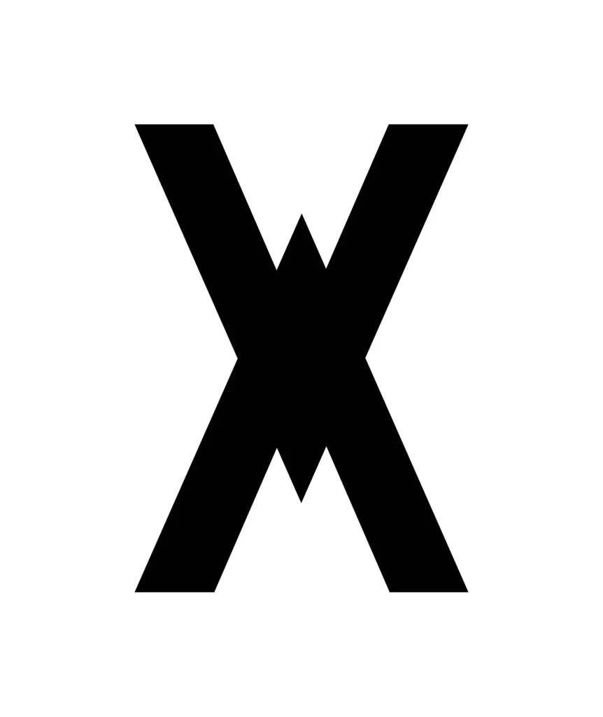 letter X vector logo typography