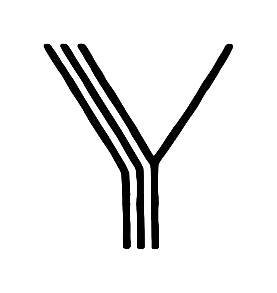 letter Y vector logo typography