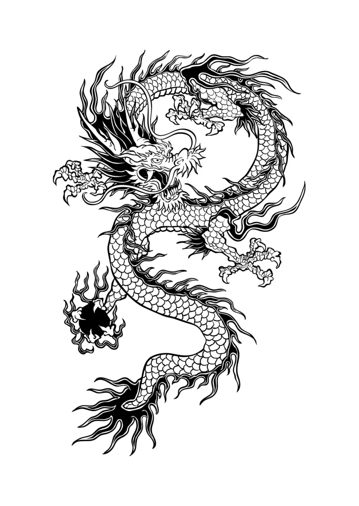 loong Chinese dragon vector illustration