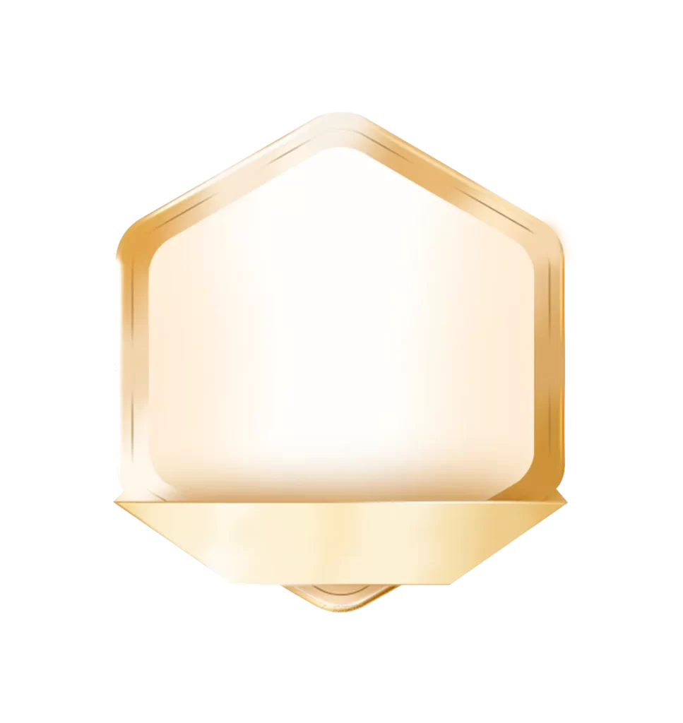 png icon badge