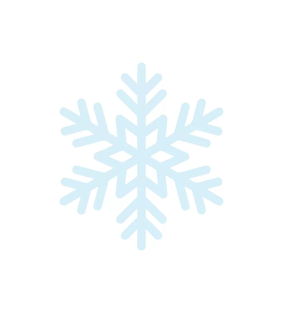 snowflake vector illustration