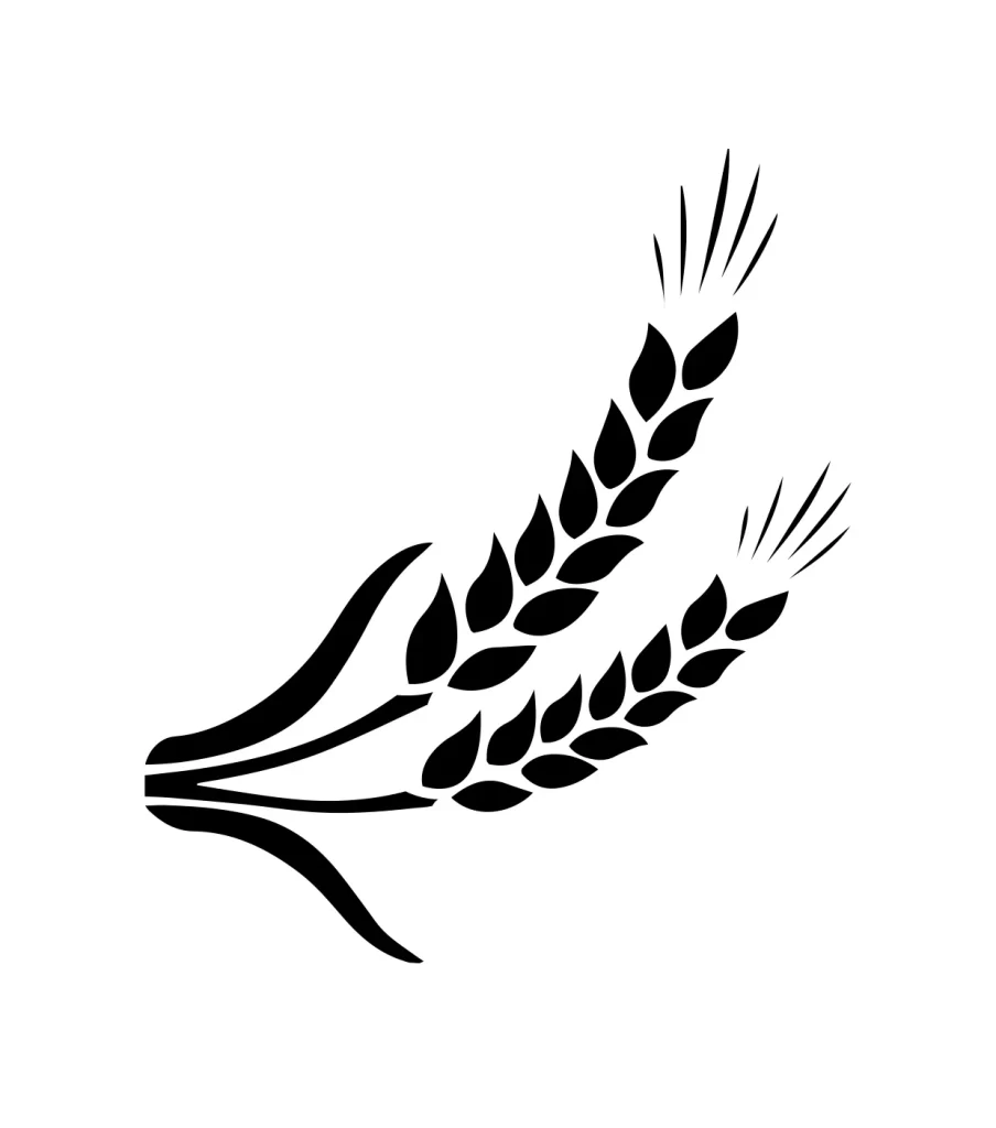 wheat vector icon logo
