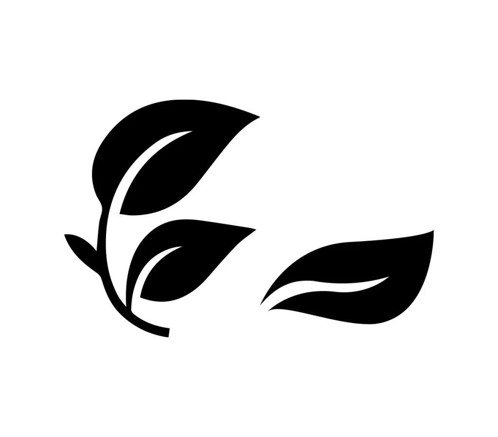 leaves leaf tea vector icon