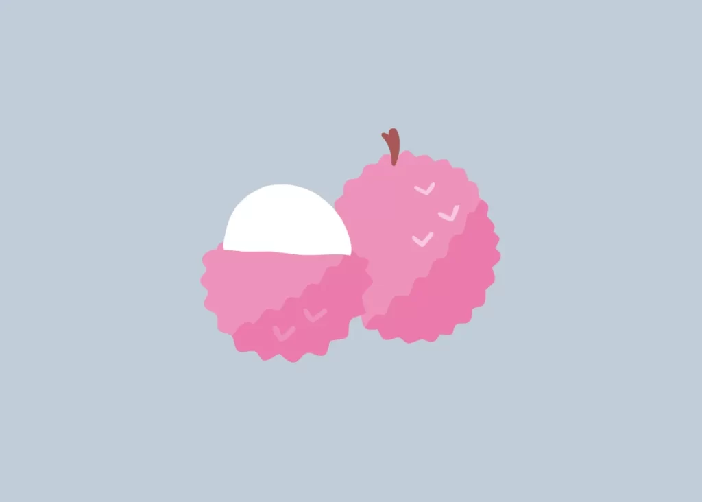litchi lychee vector illustration