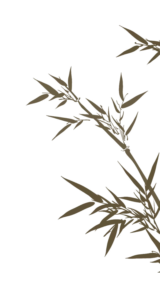 bamboo