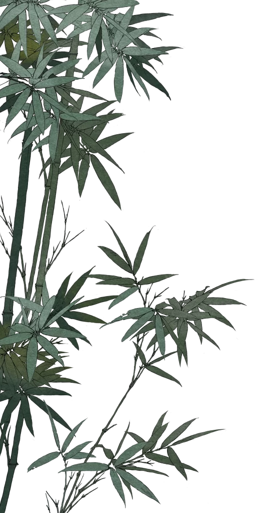 bamboo