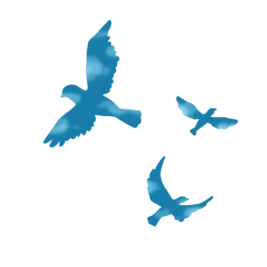 bird fly