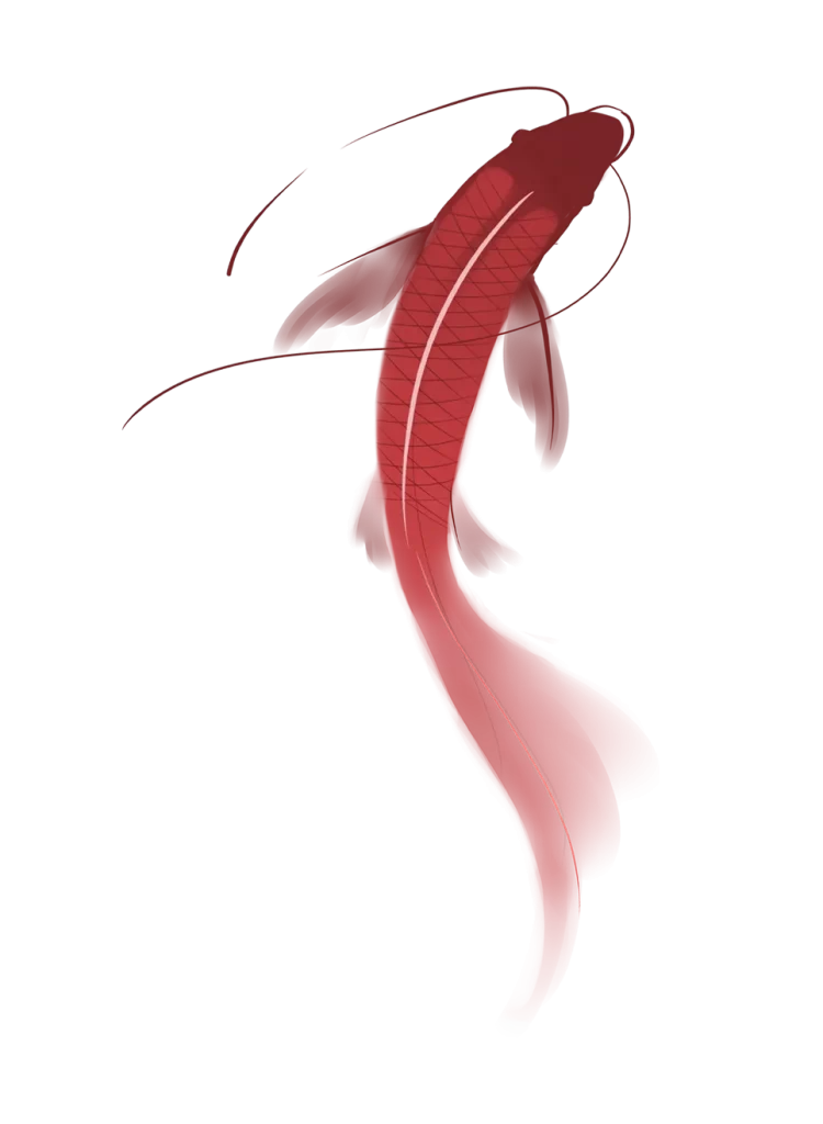 fish koi
